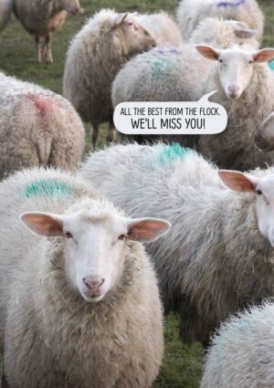 Leave - A leaving card featuring a flock of sheep and text 'All the best from the flock - we'll miss you.'
